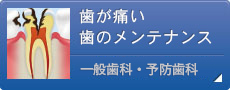 歯が痛い 歯のメンテナンス 一般歯科・予防歯科