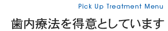 Pick Up Treatment Menu 歯内療法を得意としています